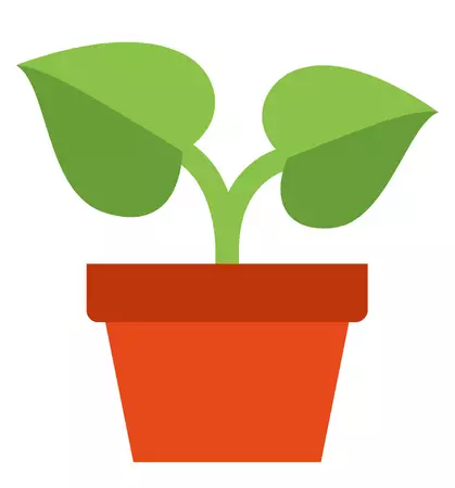 Picture for category 𝐏𝐥𝐚𝐧𝐭𝐬