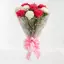 White N Pink carnation