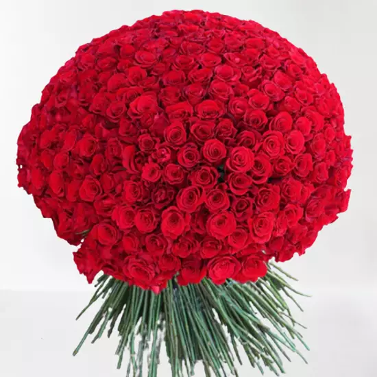 Floral Fantasy Fresh Flower Bouquet (Bunch Of 1000 Red Roses)