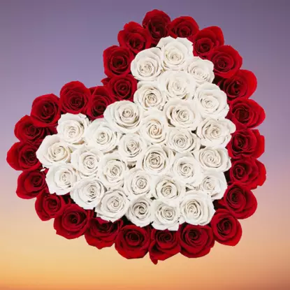 50 Heart shape white and red roses