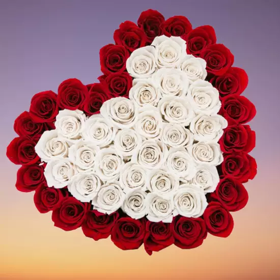 50 Heart shape white and red roses