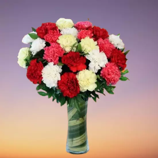 Colourful Carnation Vase