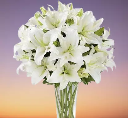 Bunch of 10 white lilies with Vase