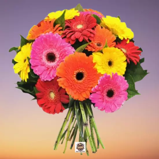 Picture of Mix Gerbera
